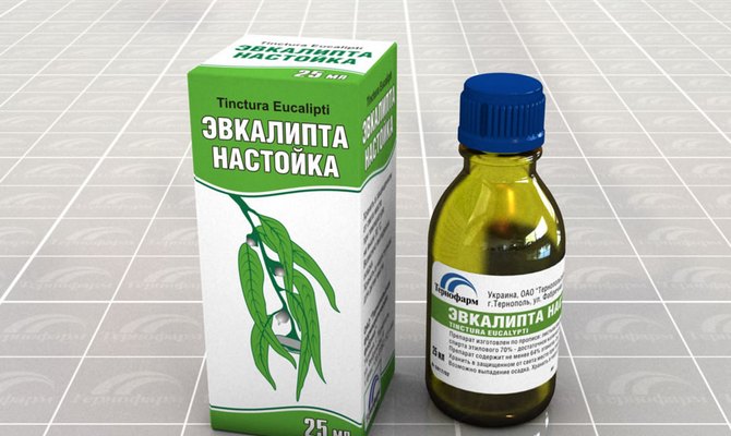 Уникальные свойства настойки эвкалипта и инструкция по её применению Уникальные свойства настойки эвкалипта и инструкция по её применению